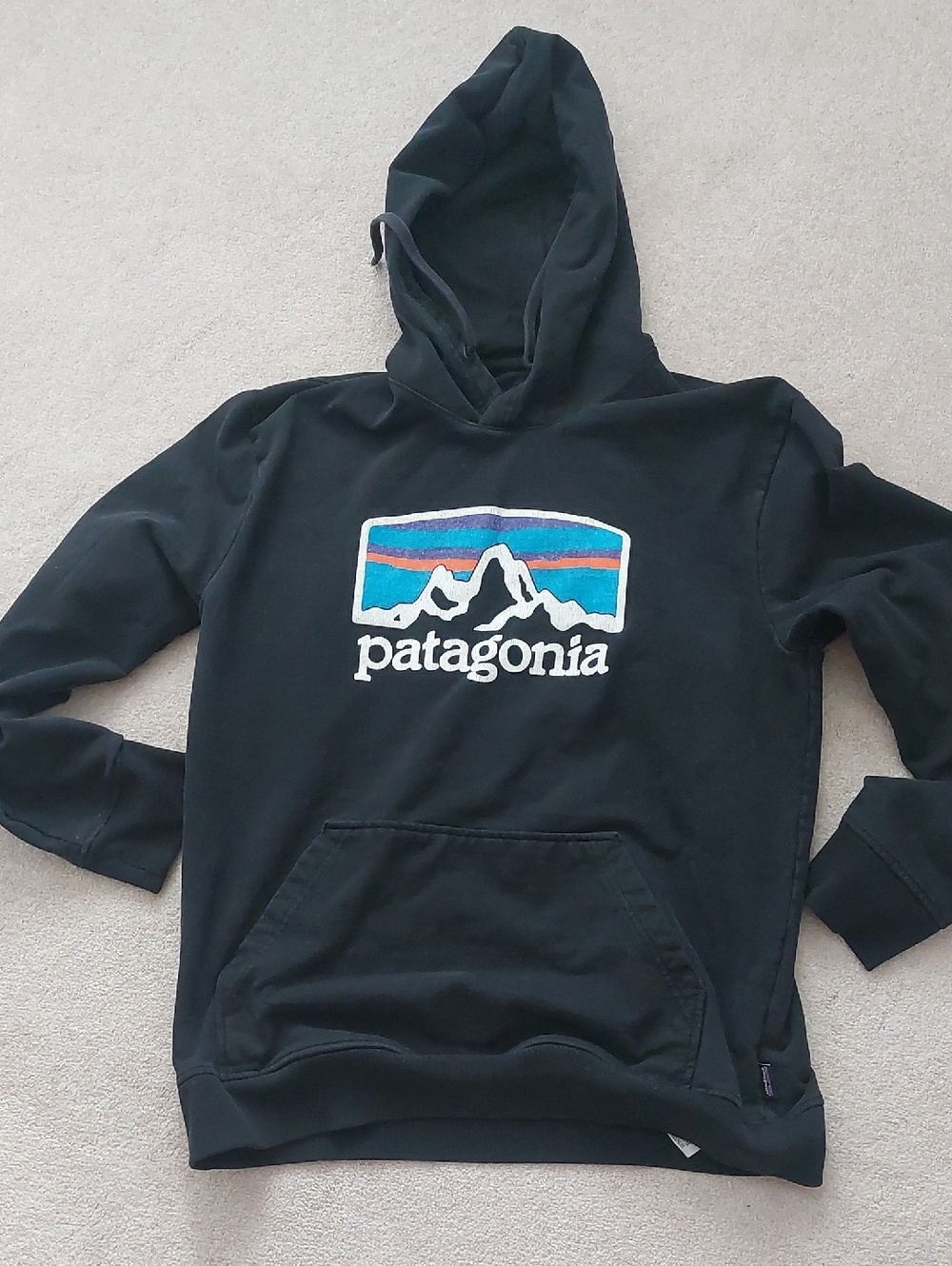 Patagonia Black Crewneck Hoodie with Multicolor Mountain Logo